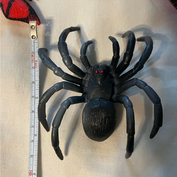 Colorful Insect and Butterfly Collection Box - Picture 6 of 10